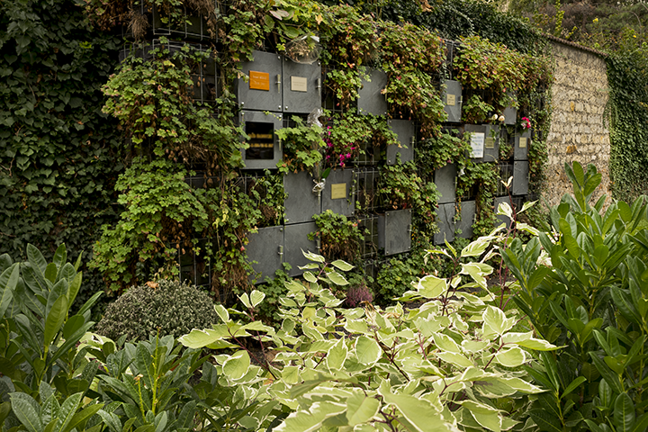 découvrez le columbarium écologique du cimetière d’Ivry