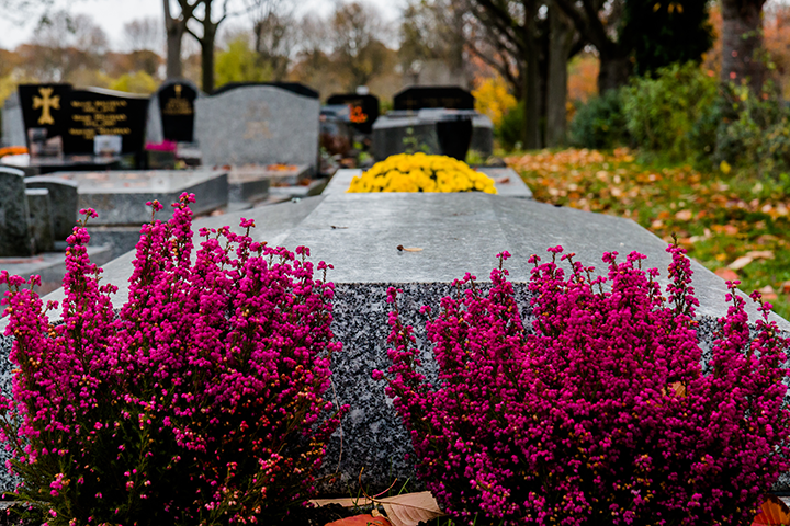 choisissez la sépulture dans un cimetière pour rendre hommage