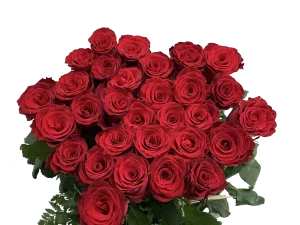 juliette-roses-livraison-fleur-enterrement-deuil
