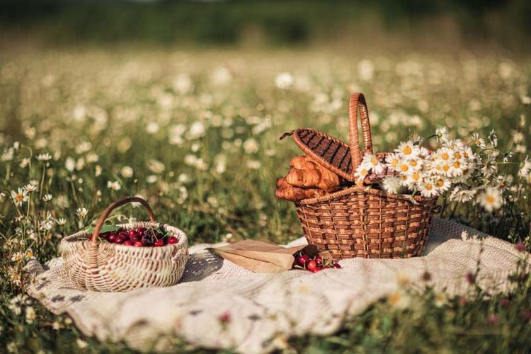 Quoi-offrir-pour-apporter-du-reconfort