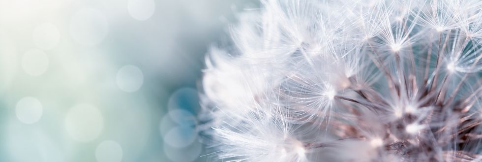 organisez-des-obseques-sans-vous-deplacer