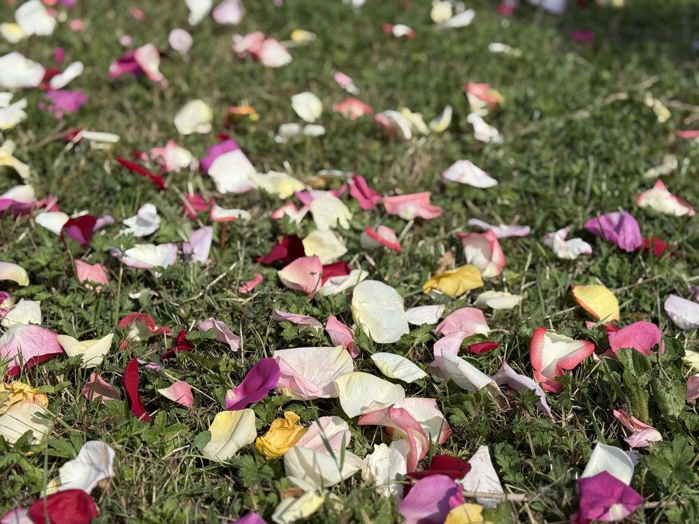 ceremonie-commemorative